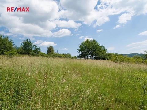 Prodej louky, Štěchovice, 4332 m2