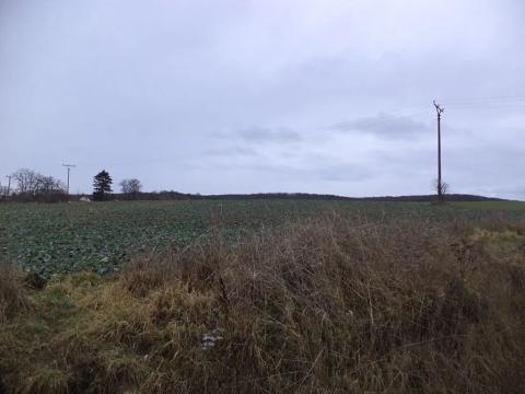 Dražba pole, Morkůvky, 6867 m2