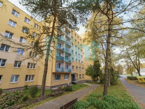 Prodej bytu 1+kk, Havířov, 17. listopadu, 25 m2