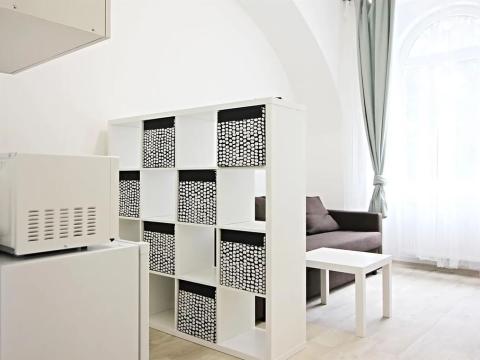 Pronájem bytu 1+kk, Brno, Koliště, 26 m2