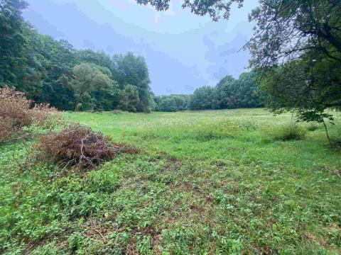 Prodej pozemku, Úterý - Vidžín, 3000 m2