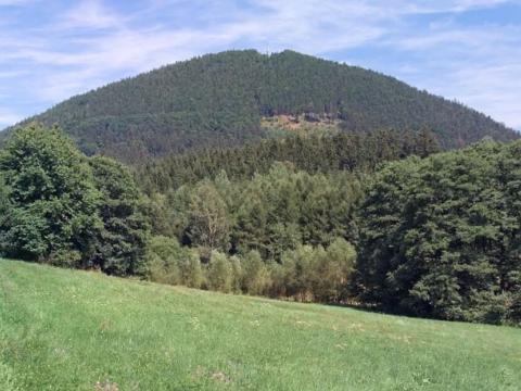 Prodej louky, Bernartice, 13423 m2