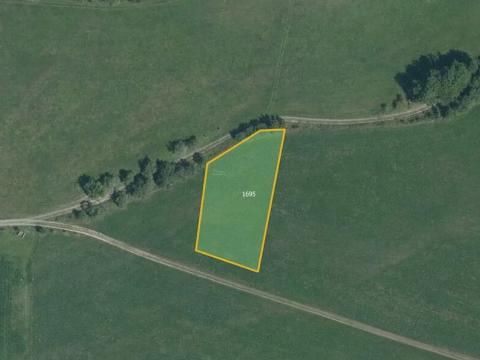 Prodej louky, Rovensko, 8009 m2