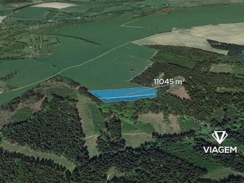 Prodej pole, Zlatá Olešnice, 11045 m2