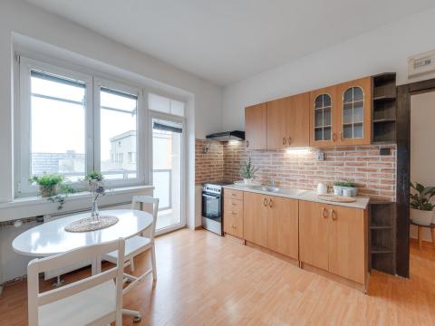 Pronájem bytu 1+kk, Ostrava - Vítkovice, Ruská, 31 m2