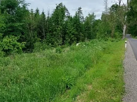 Prodej lesa, Častrov, 144 m2