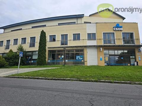 Pronájem obchodního prostoru, Nový Jičín, Štefánikova, 480 m2