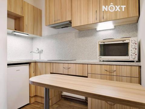 Pronájem bytu 1+kk, Žatec, Sládkova, 25 m2