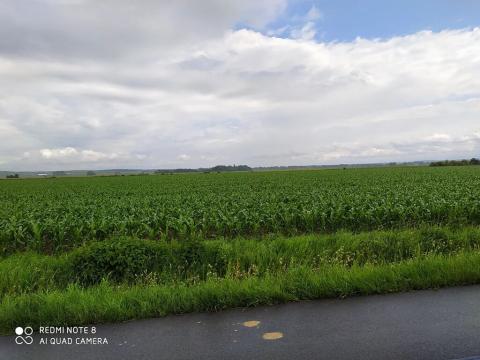 Prodej komerčního pozemku, Dolní Roveň, 13103 m2