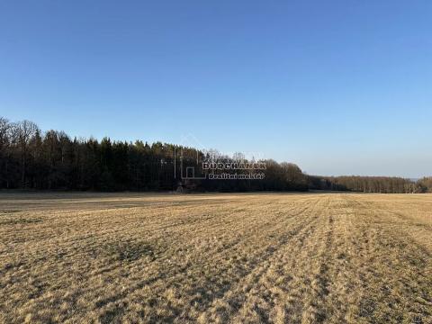 Prodej pole, Hvozdec, 2887 m2