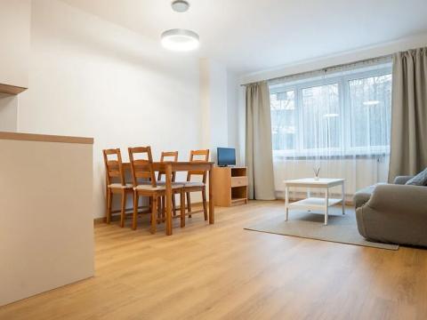 Pronájem bytu 2+kk, Praha - Košíře, Černochova, 51 m2