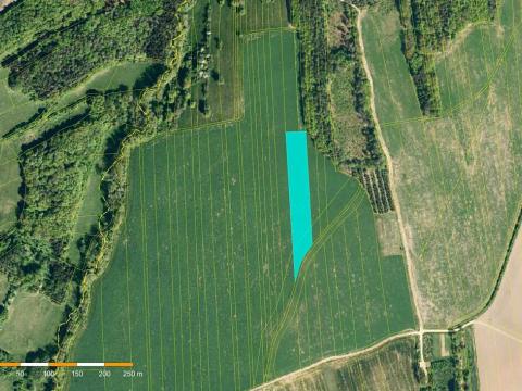 Prodej pole, Sehradice, 8080 m2