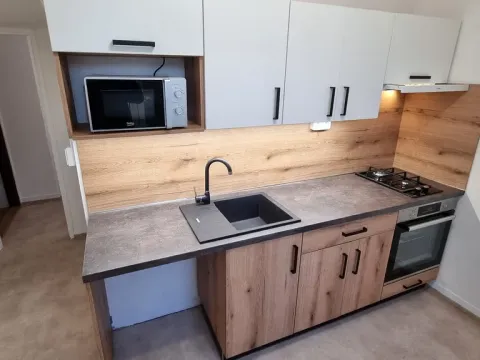 Pronájem bytu 3+1, Břeclav, Fintajslova, 62 m2