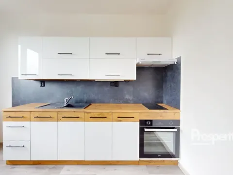 Pronájem bytu 1+1, Ústí nad Labem - Krásné Březno, Rozcestí, 41 m2