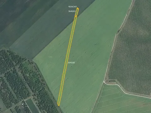 Prodej pole, Čejkovice, 3169 m2