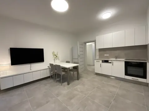 Pronájem bytu 2+kk, Želešice, Sádky, 44 m2