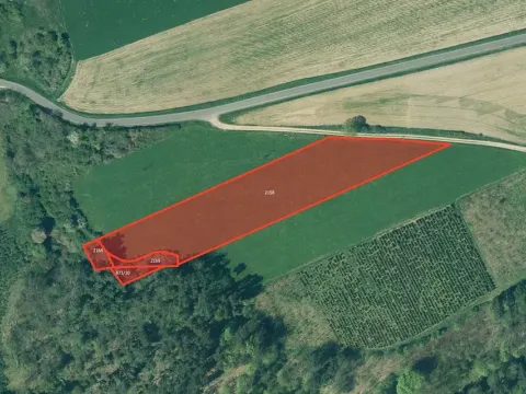 Prodej pole, Břasy, 2673 m2