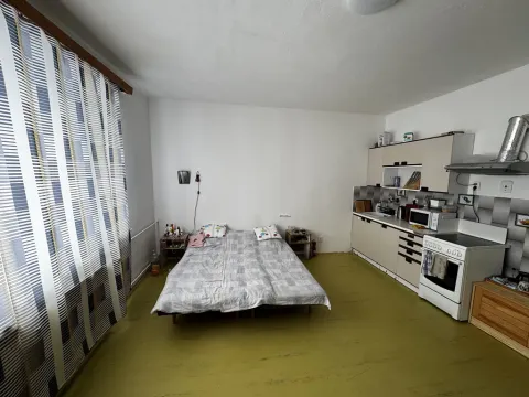 Prodej bytu 1+kk, Zruč nad Sázavou, Mládeže, 33 m2