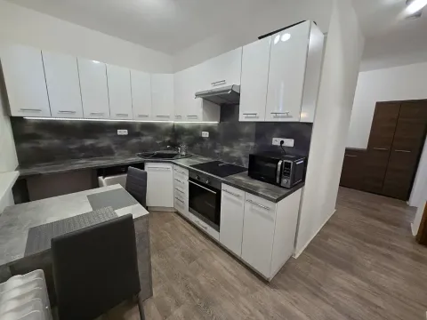 Pronájem bytu 2+1, Chomutov, Marie Pujmanové, 55 m2