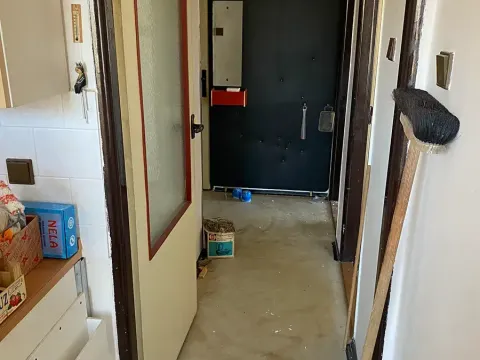 Prodej bytu 2+1, Brno, Plevova, 58 m2