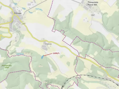 Dražba lesa, Žďárec, 3474 m2