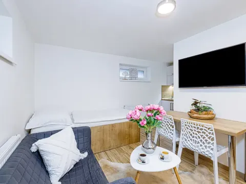 Pronájem bytu 1+kk, Zlín, Vejvanovská, 20 m2