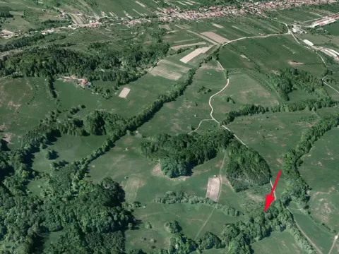 Prodej podílu louky, Nedašov, 962 m2