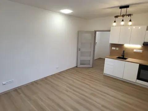 Pronájem bytu 1+kk, Nový Jičín, Palackého, 25 m2