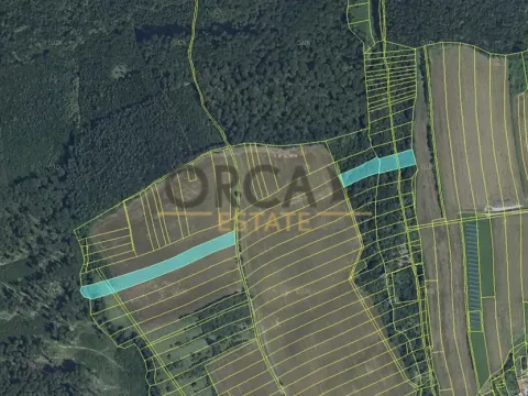 Prodej pole, Nová Dědina, 24875 m2