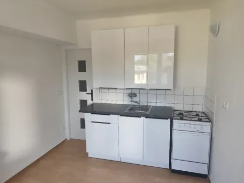 Pronájem bytu 1+1, Ostrava, Sokolská třída, 42 m2