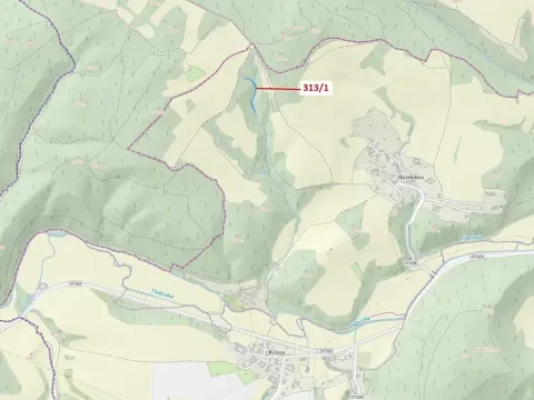 Dražba lesa, Bouzov, 1158 m2