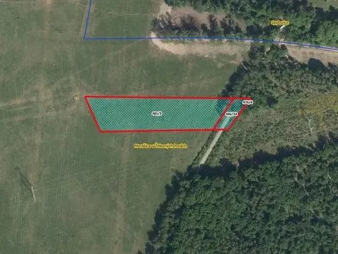 Prodej louky, Morašice, 5781 m2