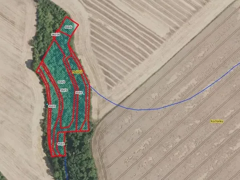 Prodej lesa, Mečeříž, 10300 m2