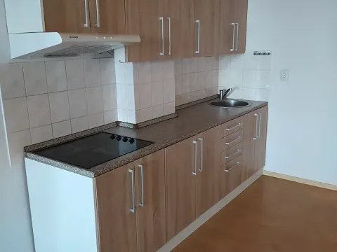 Pronájem bytu 1+kk, Chrudim, Resselovo náměstí, 55 m2