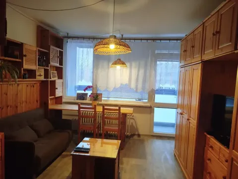 Pronájem bytu 1+1, Liberec, Matoušova, 34 m2