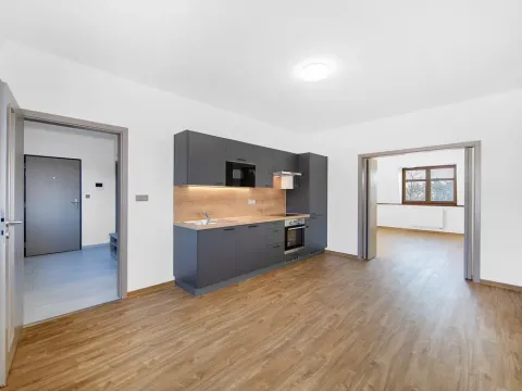 Pronájem bytu 1+1, Plzeň - Severní Předměstí, Bolevecká, 51 m2