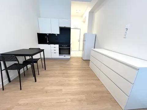 Pronájem bytu 1+kk, Praha - Vysočany, Poděbradská, 25 m2