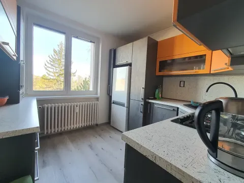 Pronájem bytu 3+1, Frýdlant nad Ostravicí, Janáčkova, 75 m2