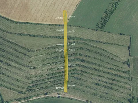 Prodej sadu/vinice, Morkůvky, 4640 m2