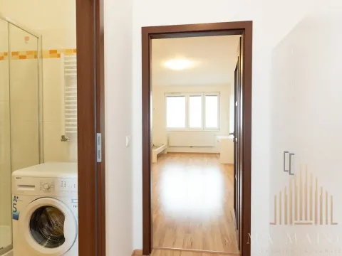 Pronájem bytu 1+kk, Praha - Vysočany, Freyova, 33 m2