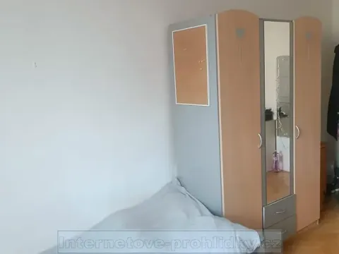 Pronájem pokoje, Praha, Vodnická, 21 m2