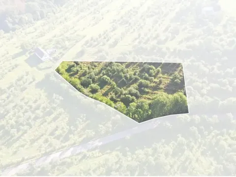 Prodej sadu/vinice, Troskovice, 8502 m2