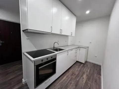 Pronájem bytu 3+kk, Ostrov, Družební, 66 m2