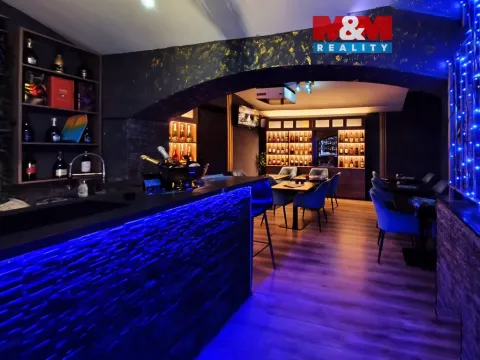 Pronájem restaurace, Praha - Vinohrady, Budečská, 97 m2