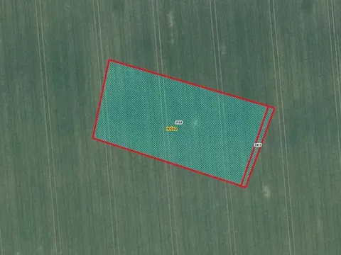 Prodej pole, Hoštka, 3568 m2