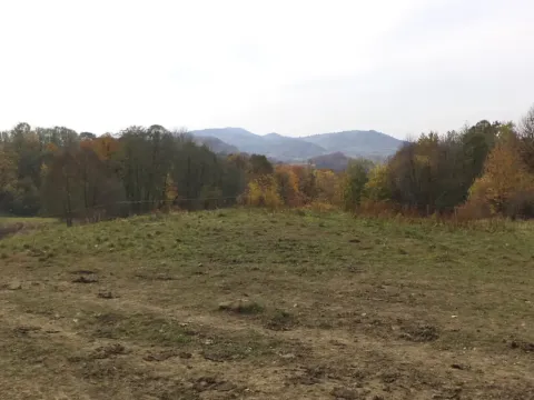 Dražba louky, Nový Jičín, 6670 m2