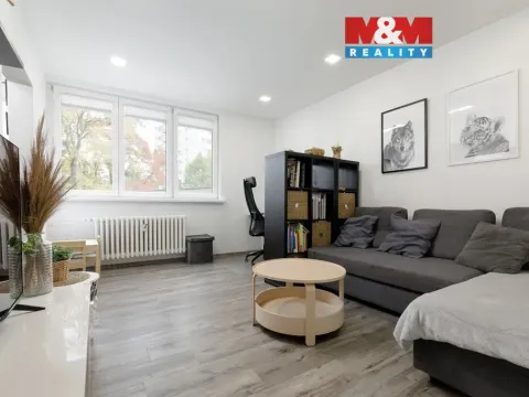 Prodej bytu 2+1, Ostrava - Moravská Ostrava, Ahepjukova, 57 m2