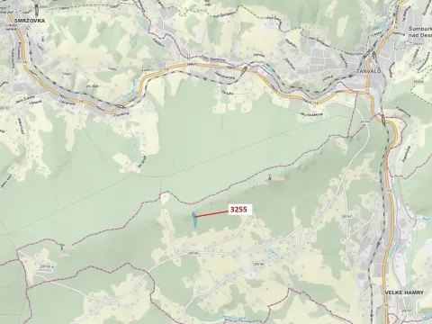 Dražba lesa, Velké Hamry, 6125 m2