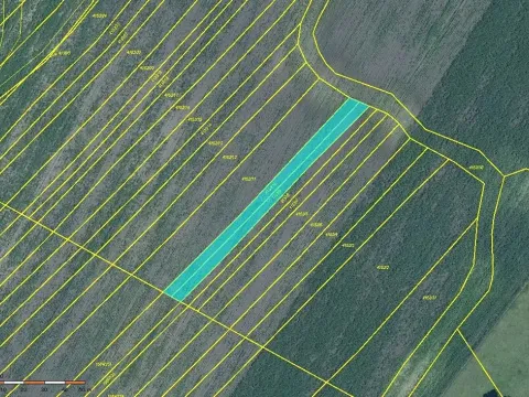 Prodej pole, Moravská Nová Ves, 952 m2