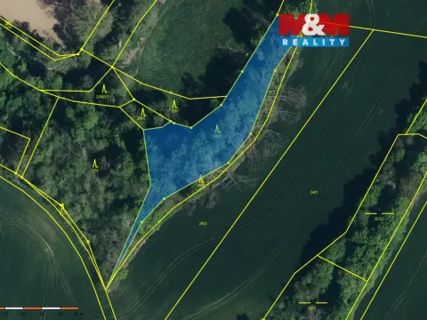 Prodej lesa, Ronov nad Doubravou, 2904 m2